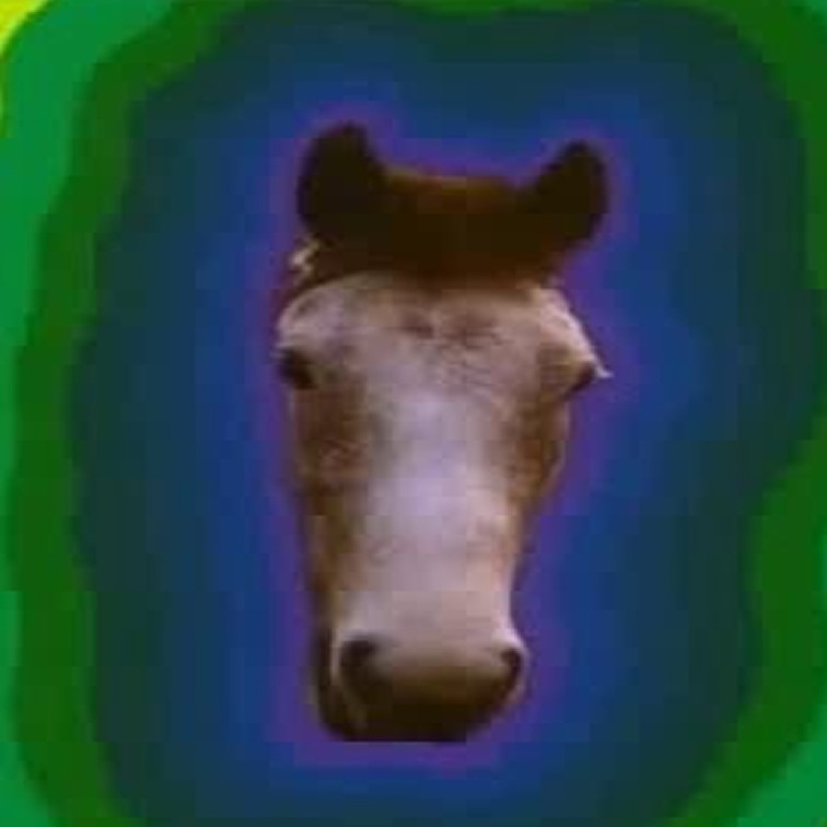 Early horse-head concept on a psychedelic green and blue background