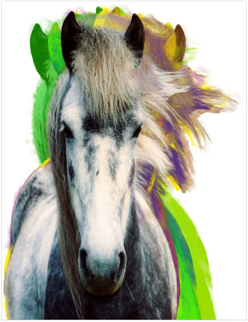 The psychedelic horse