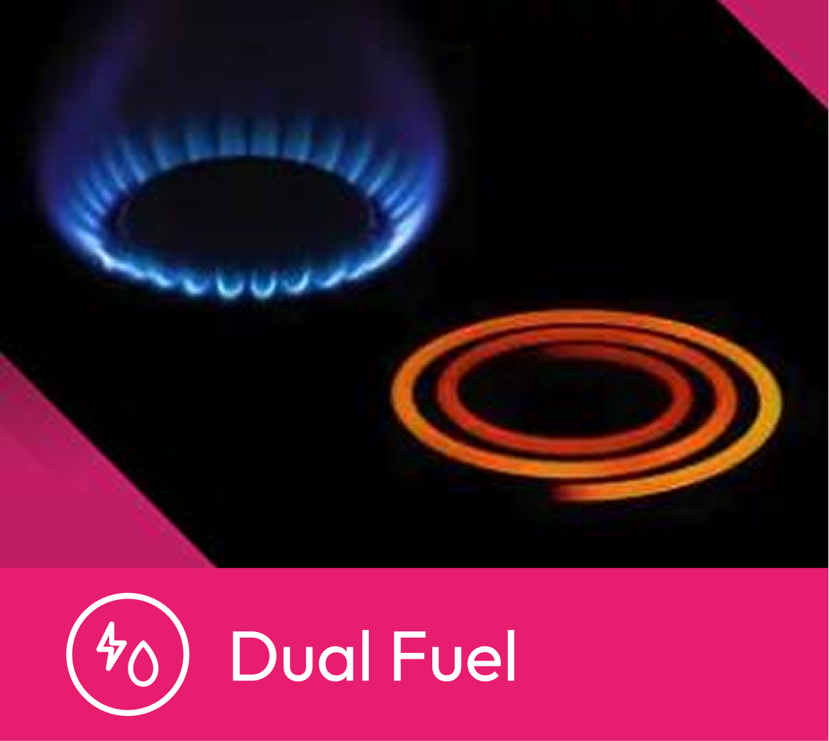 Dual fuel