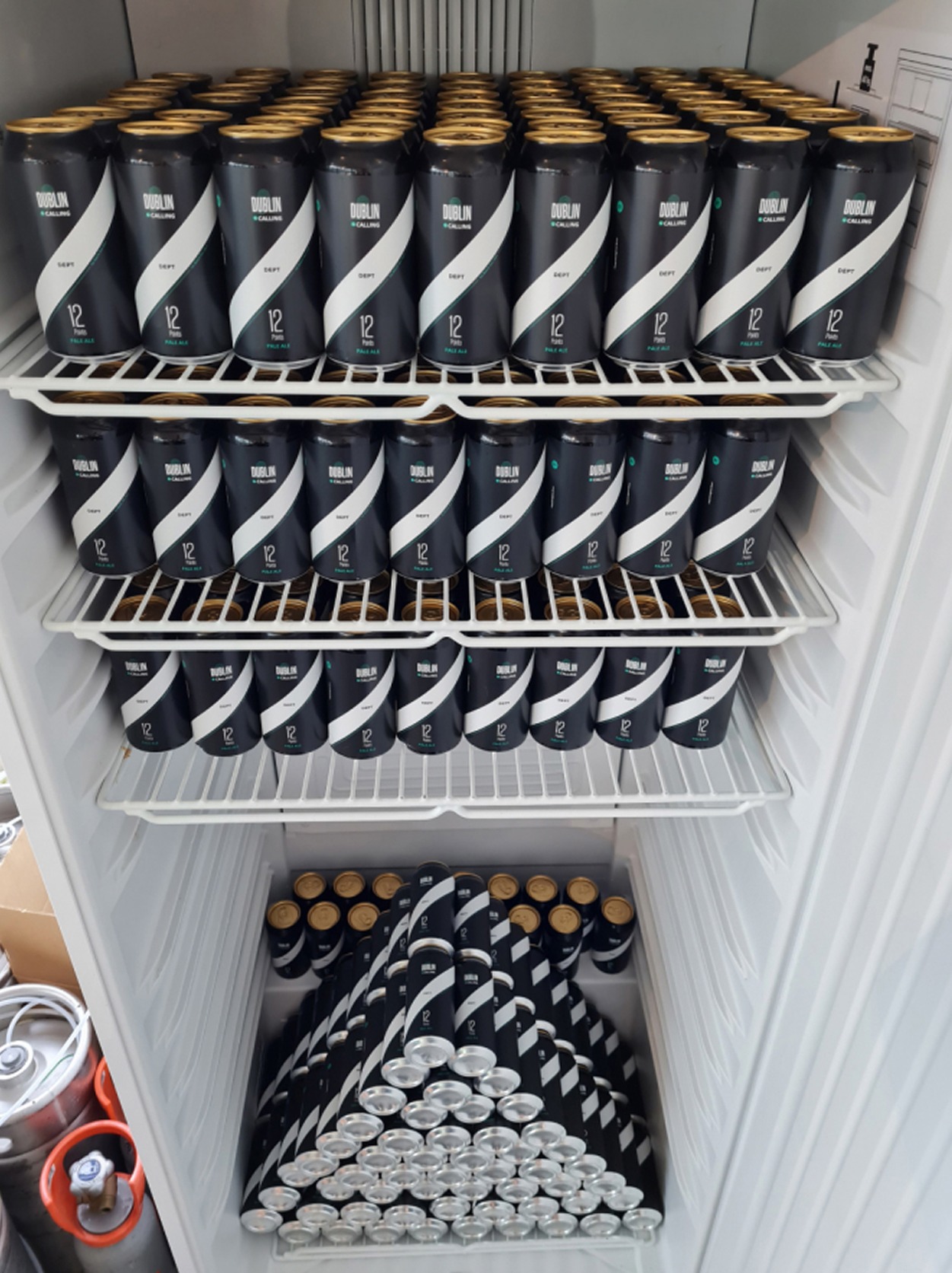 Fridge in Amsterdam full of Dublin Calling cans