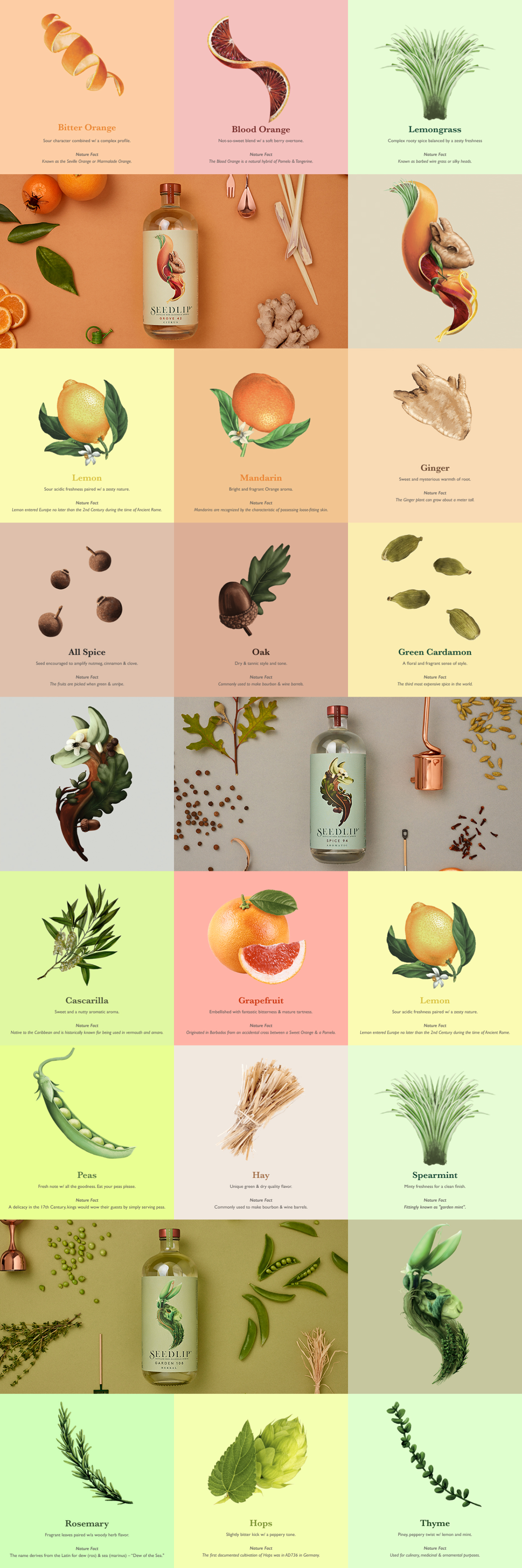 Seedlip flavour boards — Garden 108, Grove 42 and Spice 94